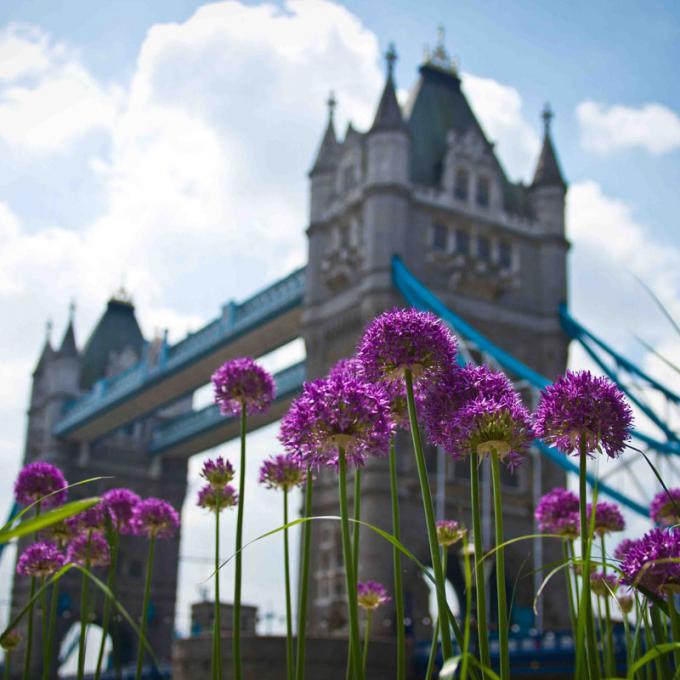 Photography Day Tour