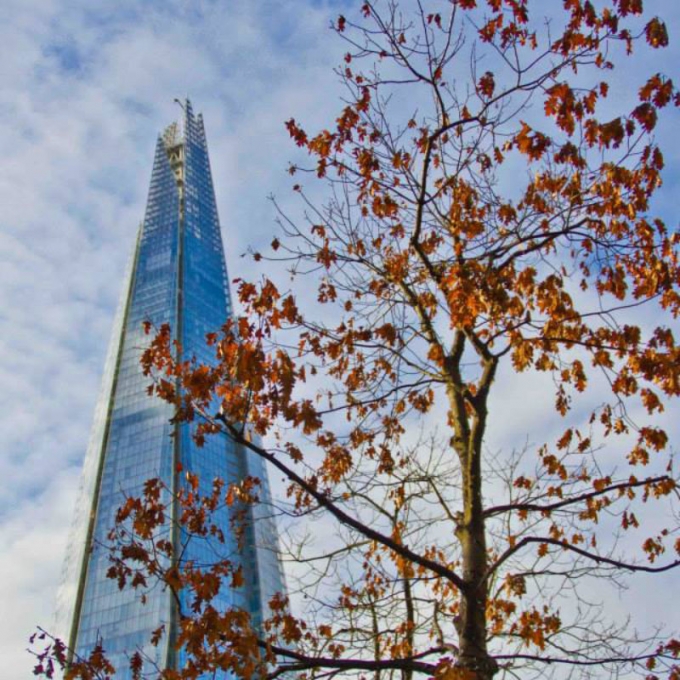 Photography Day Tour